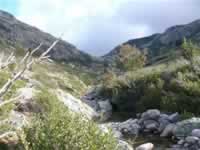Korsika Bild 156